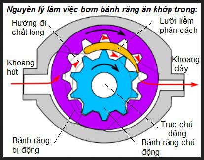 Nguyên lý hoạt động bơm thủy lực Nguyên lý hoạt động bơm thủy lực