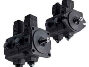 Bơm cánh gạt kép