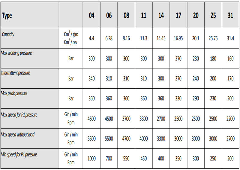 Motor thủy lực bánh răng